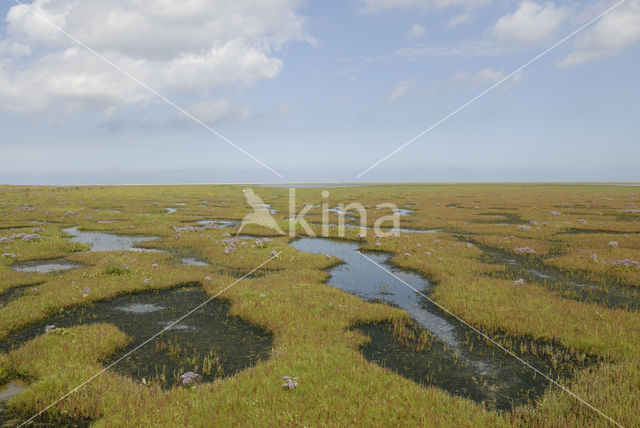 Waddenzee