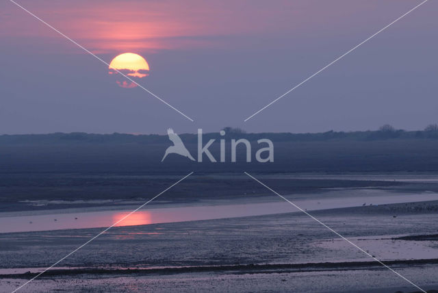 Waddenzee