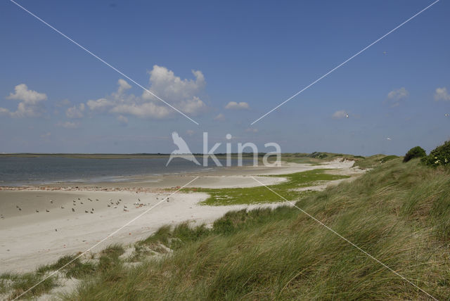 Waddenzee