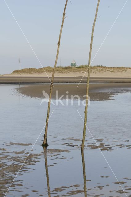 Waddenzee