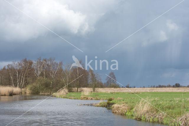 Nieuwkoopse Plassen