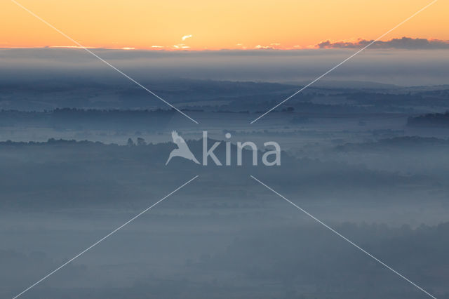 fog