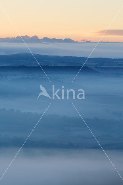 fog