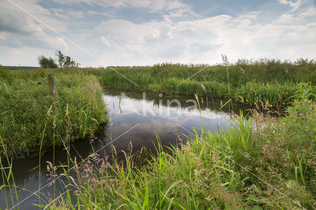 Nationaal beek- en esdorpenlandschap Drentsche Aa