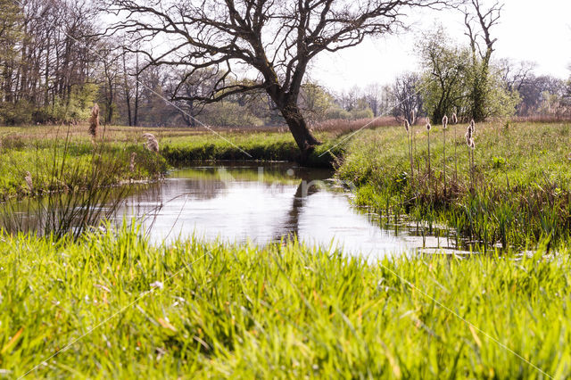 Nationaal beek- en esdorpenlandschap Drentsche Aa