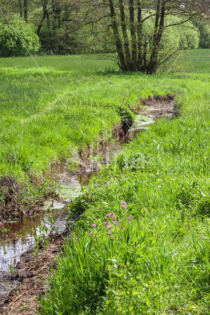 Nationaal beek- en esdorpenlandschap Drentsche Aa