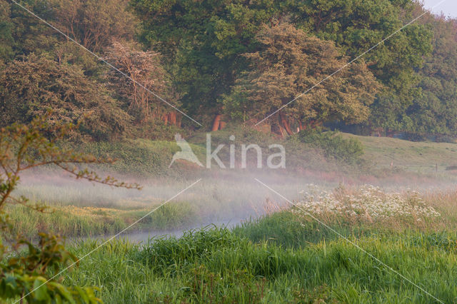 Nationaal beek- en esdorpenlandschap Drentsche Aa