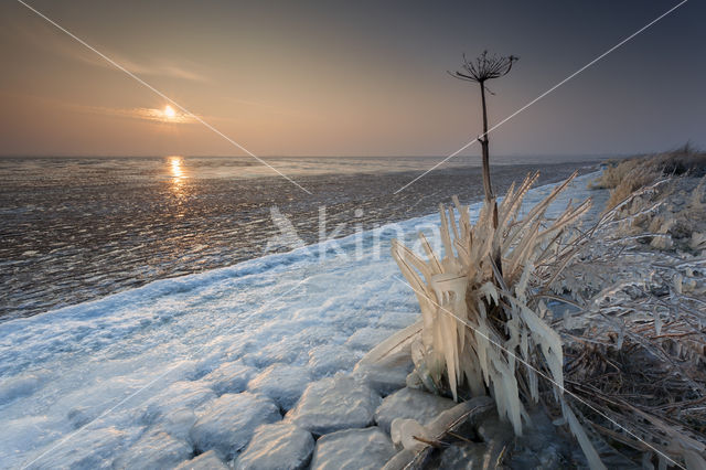 National Park Lauwersmeer