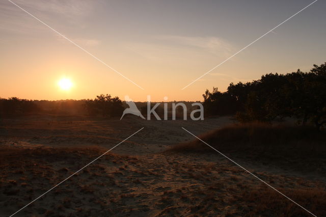 National Park Loonse en Drunense Duinen