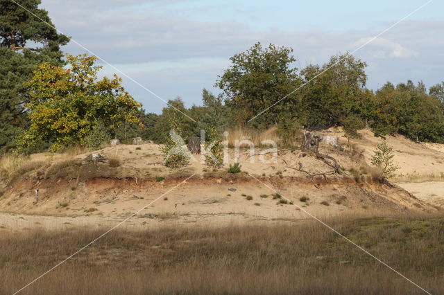 National Park Loonse en Drunense Duinen