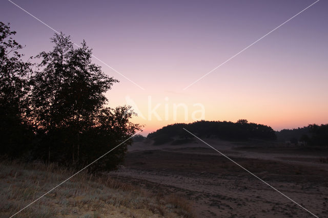 National Park Loonse en Drunense Duinen