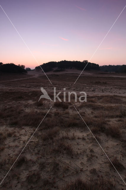 Nationaal Park Loonse en Drunense Duinen