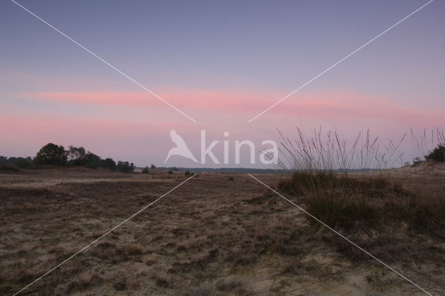 Nationaal Park Loonse en Drunense Duinen