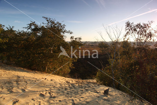 National Park Loonse en Drunense Duinen