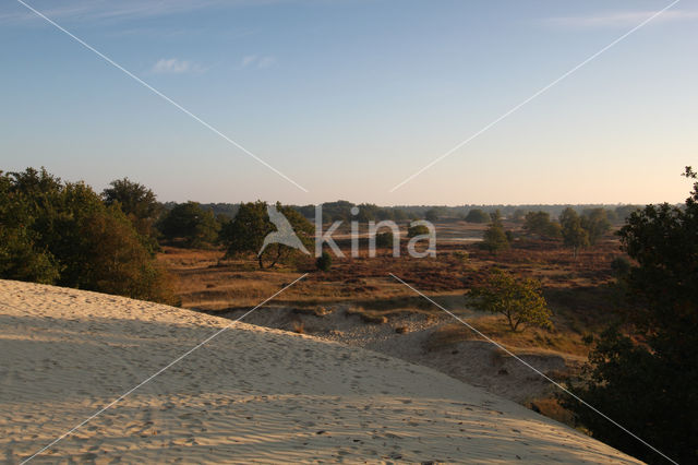 National Park Loonse en Drunense Duinen