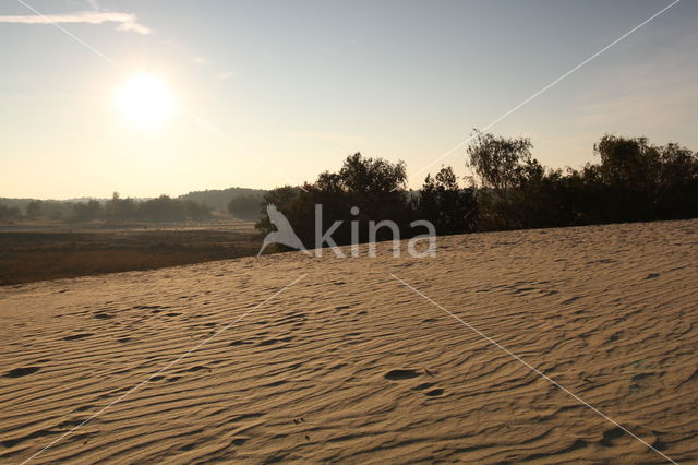 Nationaal Park Loonse en Drunense Duinen