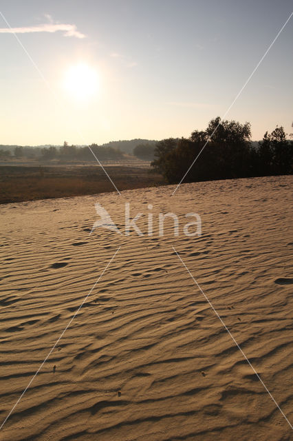 National Park Loonse en Drunense Duinen