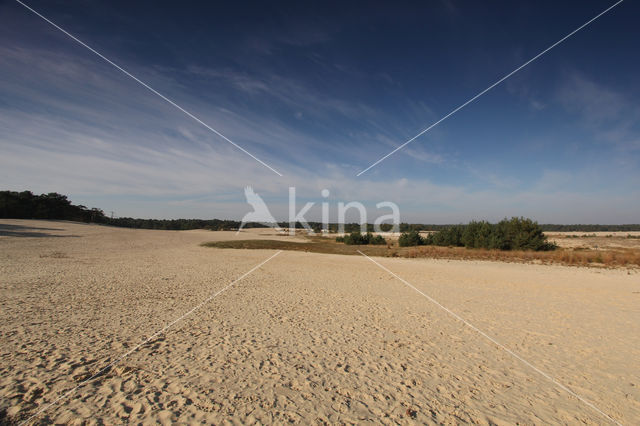 National Park Loonse en Drunense Duinen