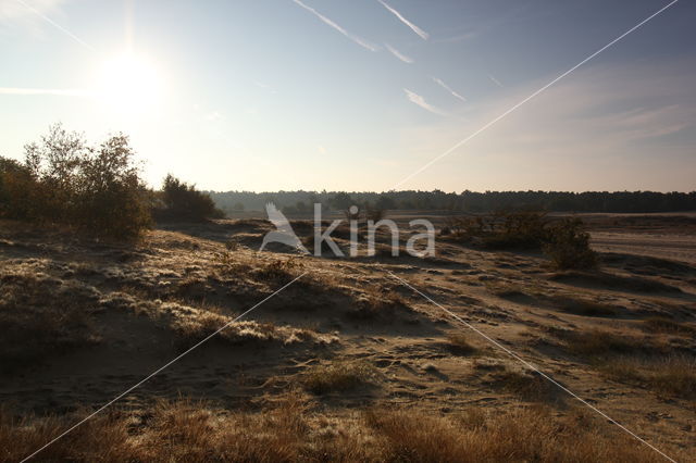 National Park Loonse en Drunense Duinen