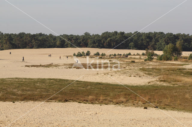 Nationaal Park Loonse en Drunense Duinen