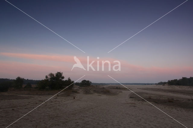 Nationaal Park Loonse en Drunense Duinen