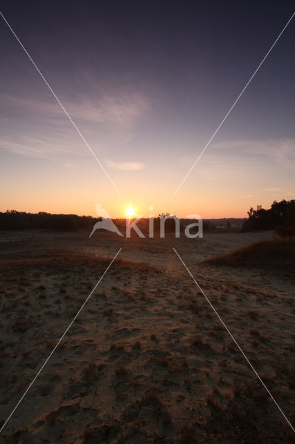 Nationaal Park Loonse en Drunense Duinen