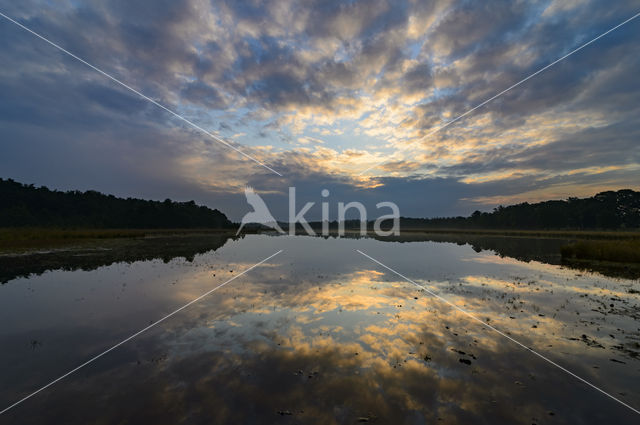 Nationaal park Utrechtse Heuvelrug