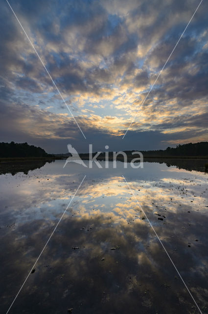 Nationaal park Utrechtse Heuvelrug