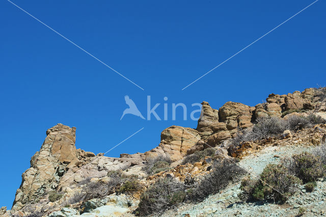 Parque Nacional de Pico del Teide