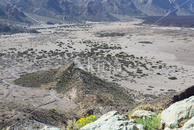 Pico del Teide National Park