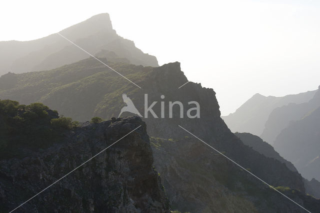 Pico del Teide National Park