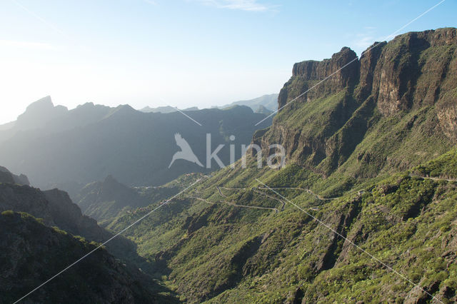 Parque Nacional de Pico del Teide