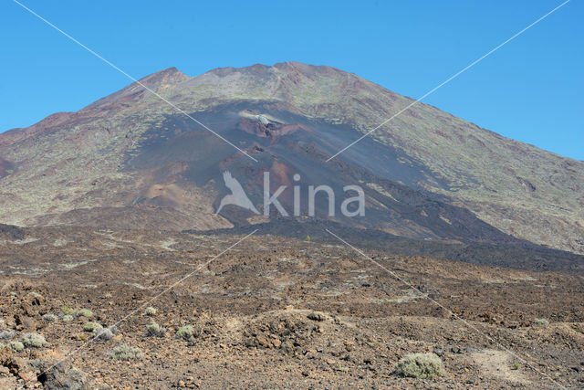 Parque Nacional de Pico del Teide