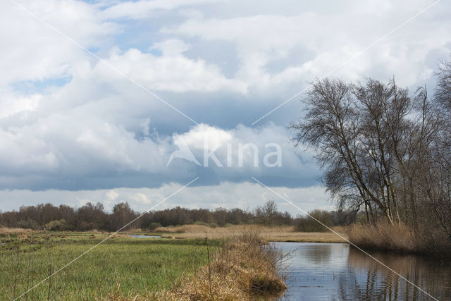 Nieuwkoopse Plassen