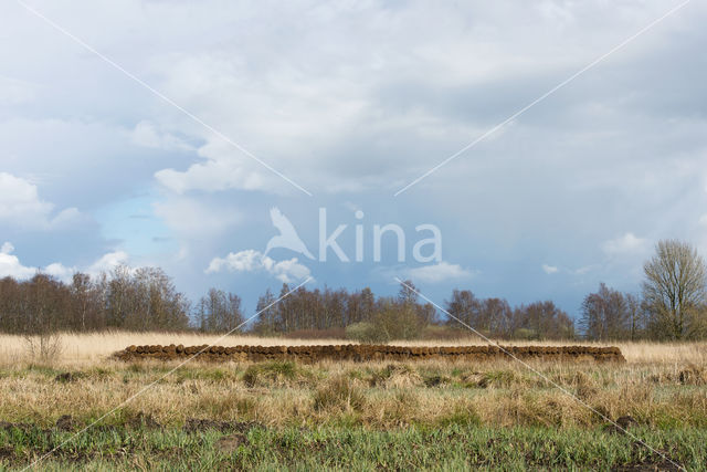 Nieuwkoopse Plassen