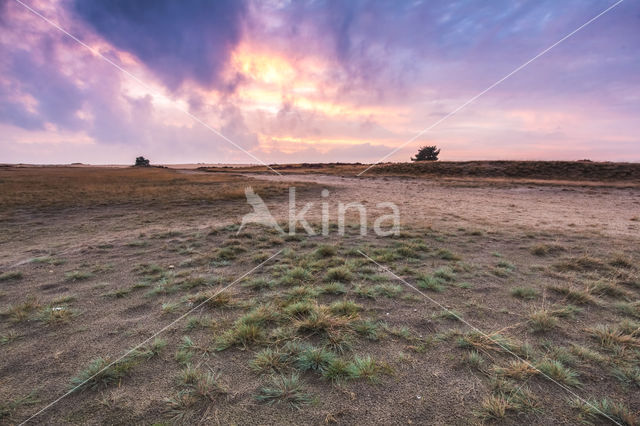 National Park De Hoge Veluwe