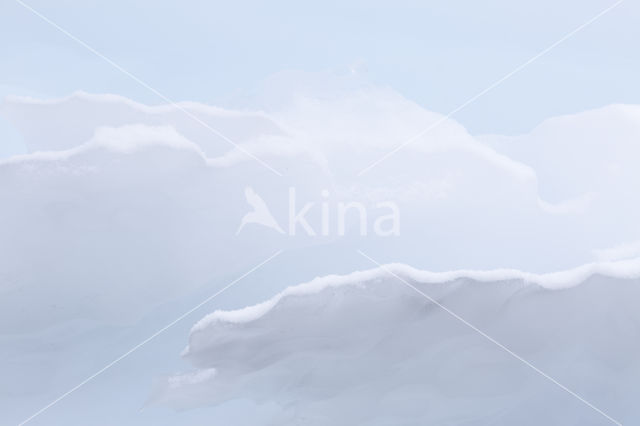 Antarctic Peninsula