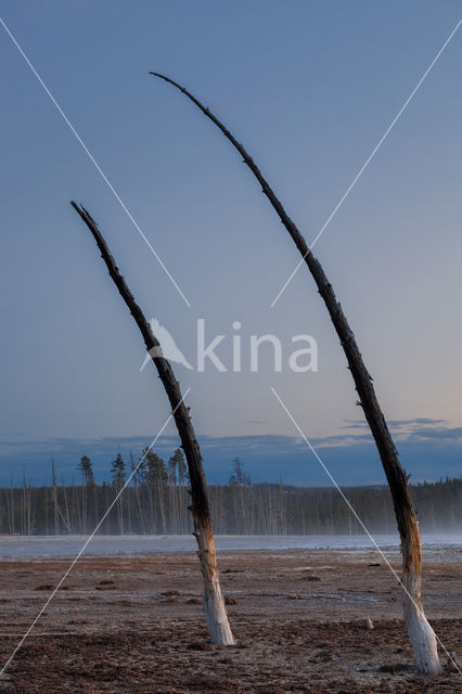 Yellowstone national park