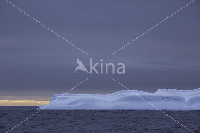 Bransfield Strait