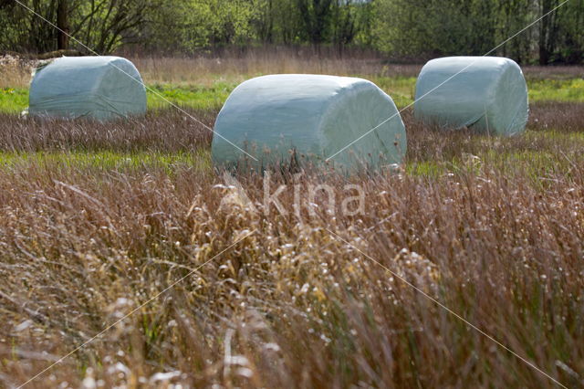 Beekdal Oude Diep Het Drentse Landschap