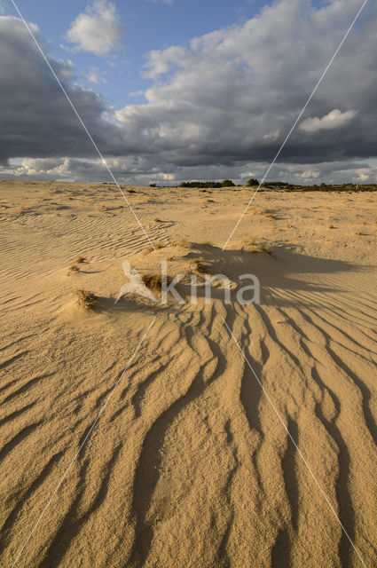 Nationaal Park De Hoge Veluwe