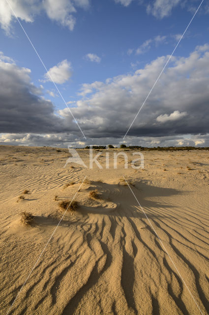 Nationaal Park De Hoge Veluwe