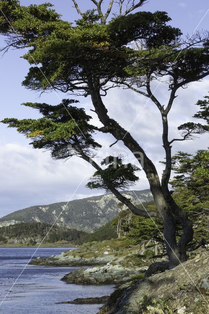 Tierra del Fuego National Park