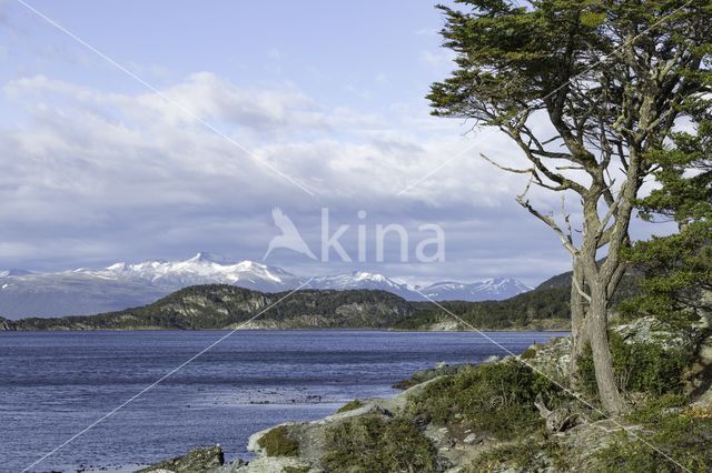 Tierra del Fuego National Park