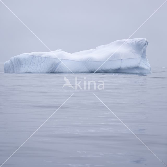 ice