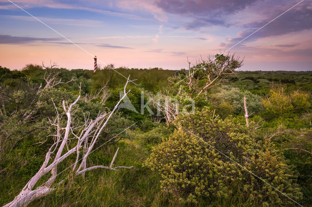 Molen De Graanhalm