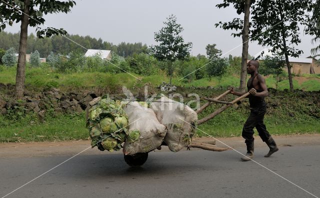 Rwanda