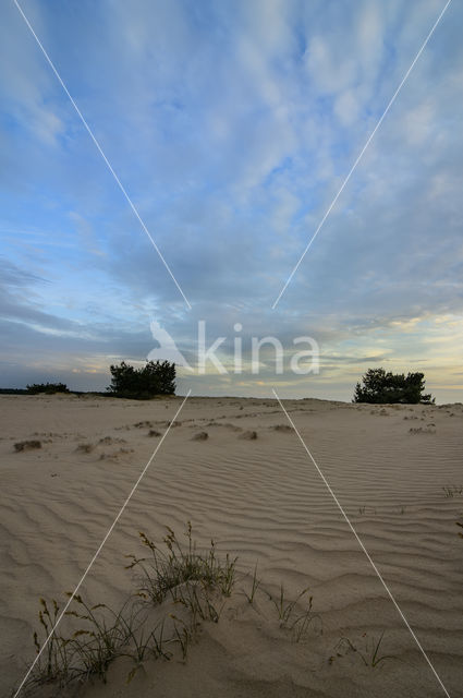 National Park De Hoge Veluwe