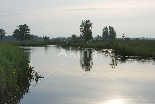 Nieuwkoopse Plassen