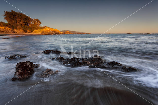 Sonoma Coast State Park